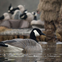 DSD Maximas Floater Goose Decoys 4-Pack